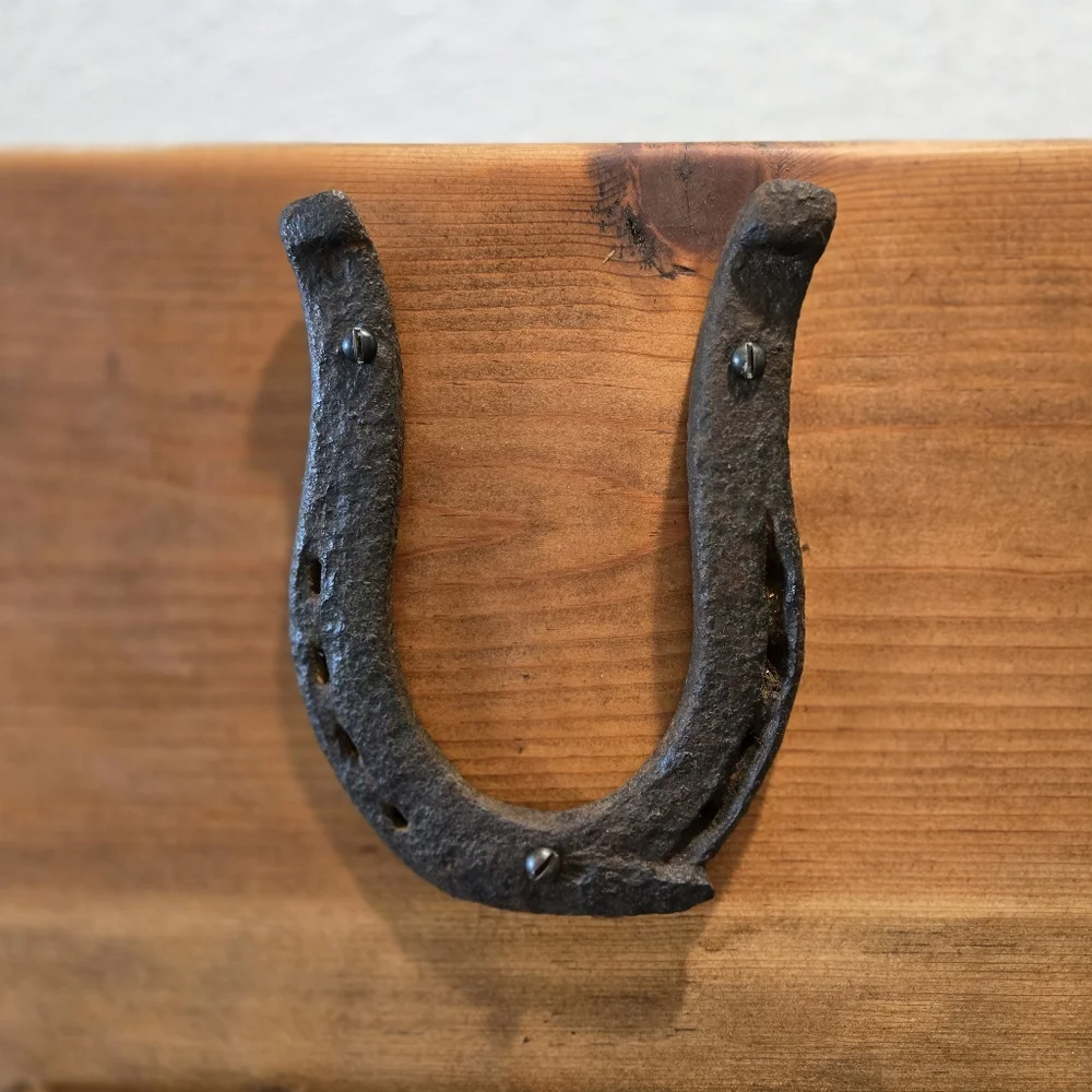Handmade reclaimed pine wood gold rush era horseshoe wall hanging key hook 12x9